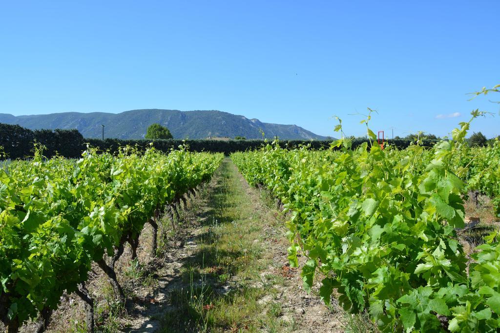 Apartamento Domaine Des Peyre Robion en Luberon Exterior foto